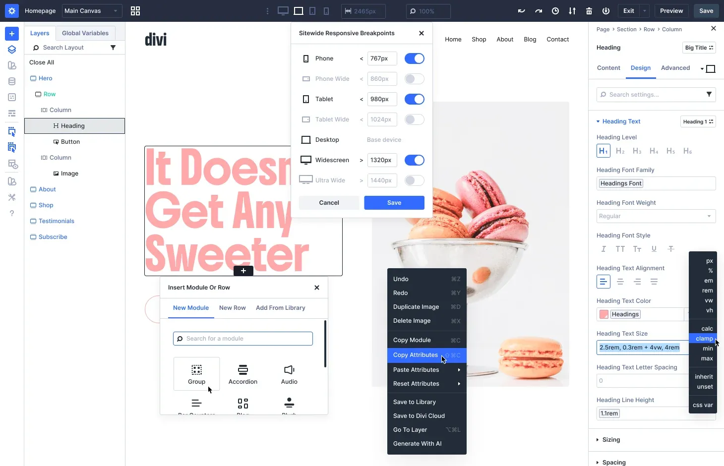 Divi Web Design illustration