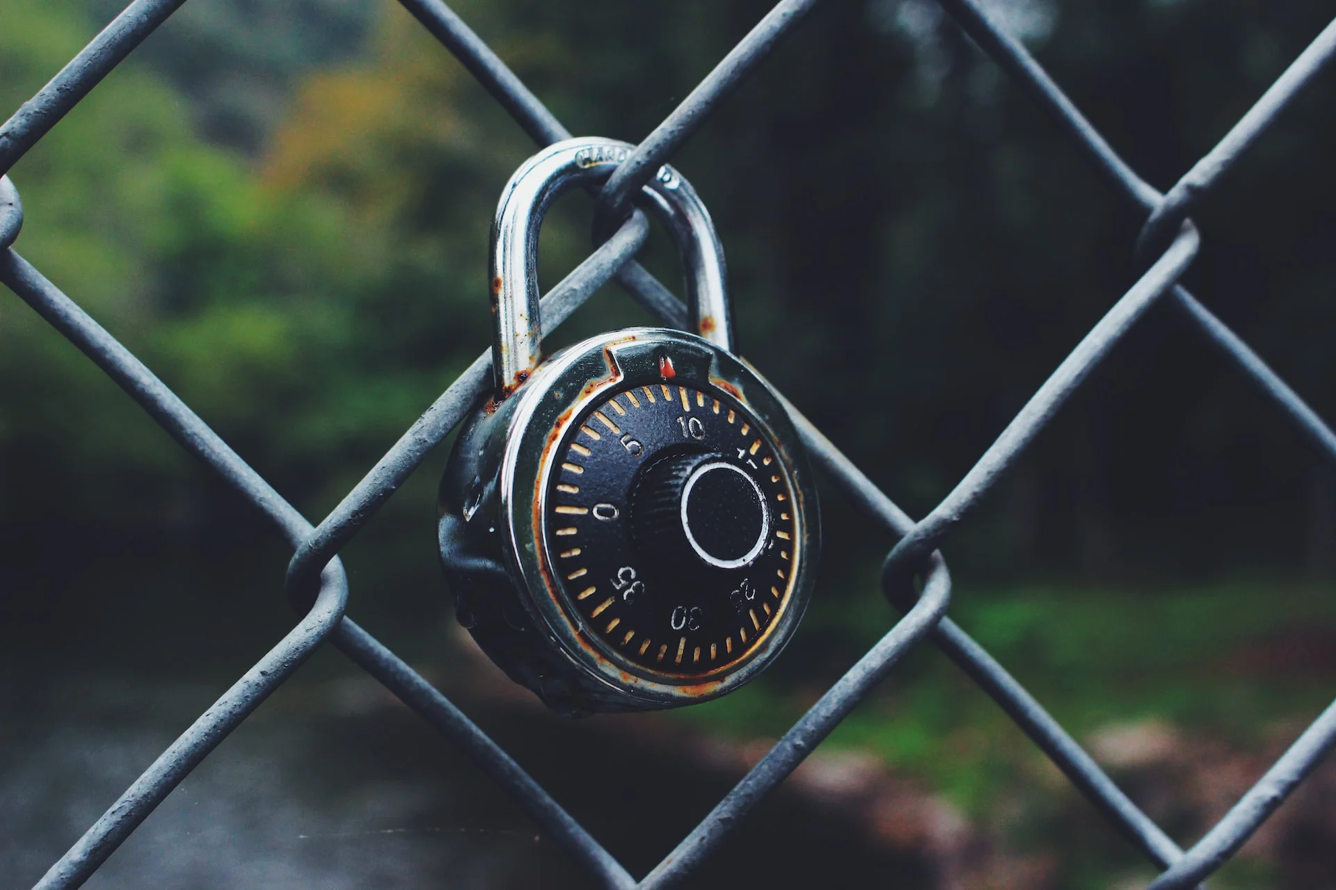 A padlock representing WordPress website security